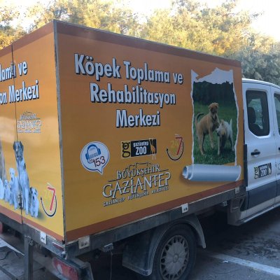 Araç Giydirme